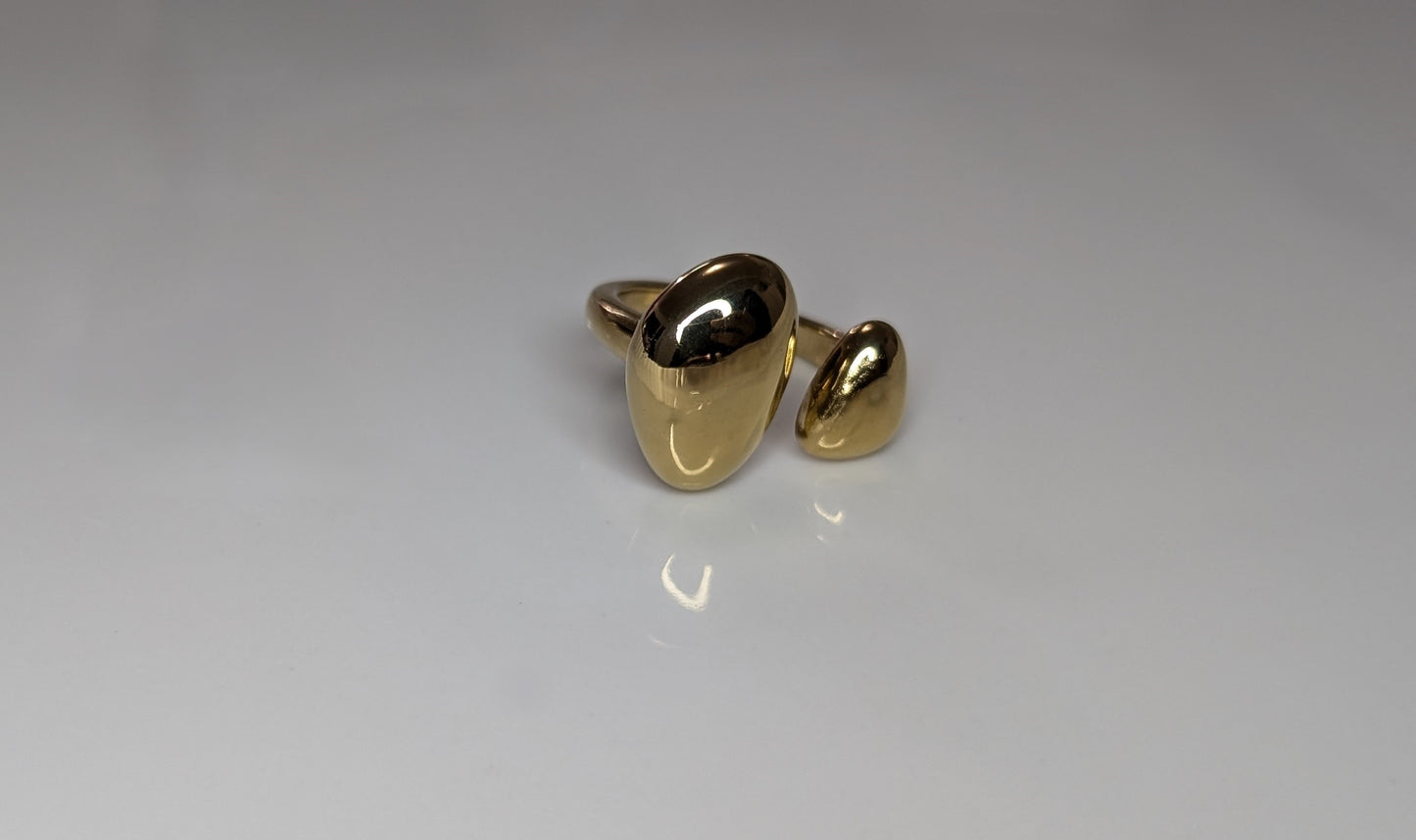 Adjustable stainless steel drop ring