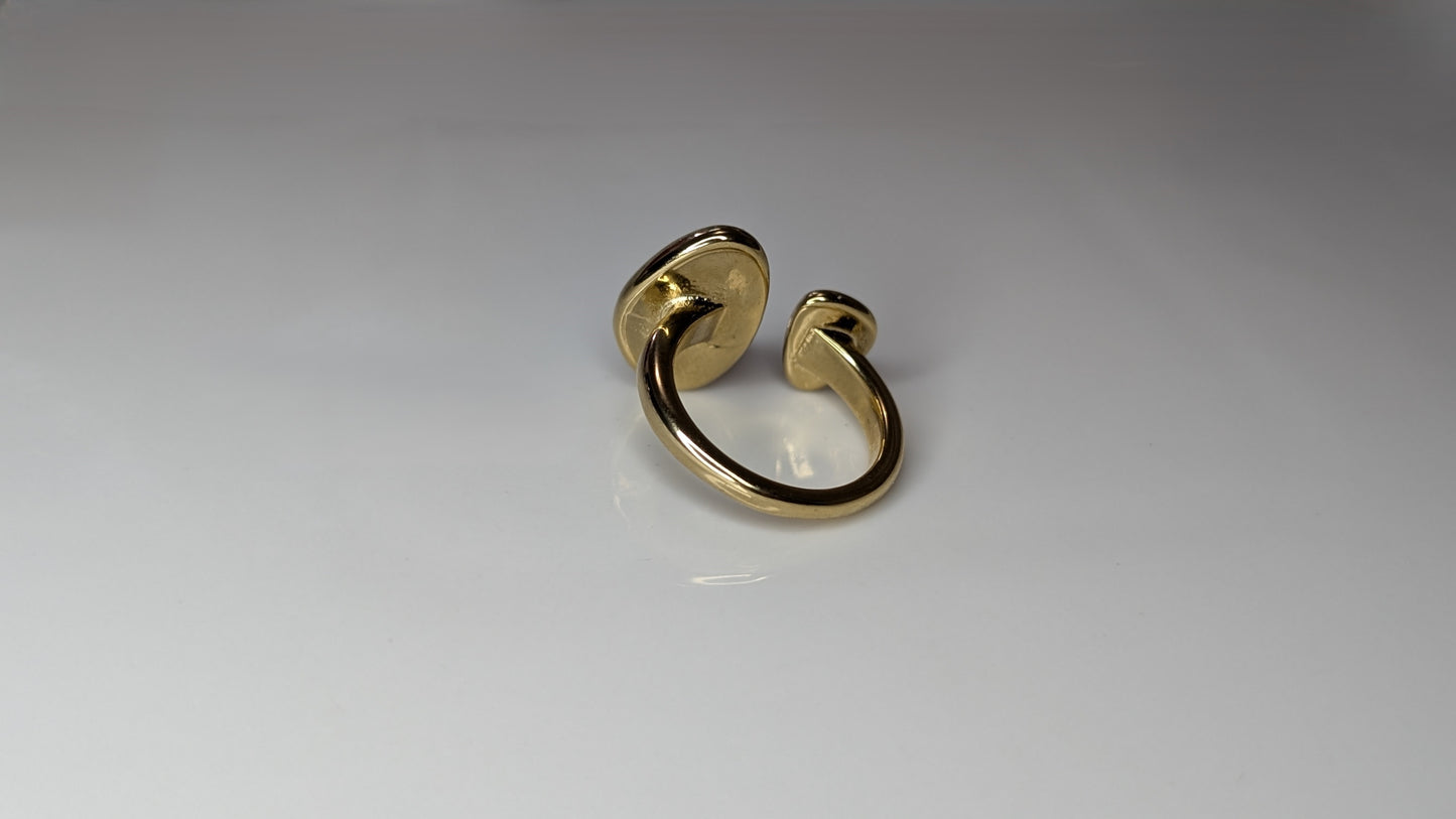 Adjustable stainless steel drop ring