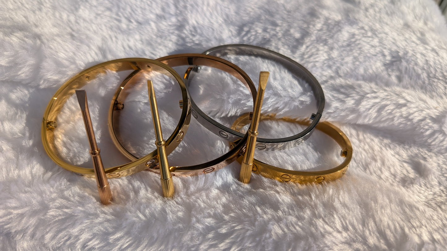 Bracelet Jonc en Acier Inoxydable avec Fermoir à Vis - Options Argent et Plaqué Or