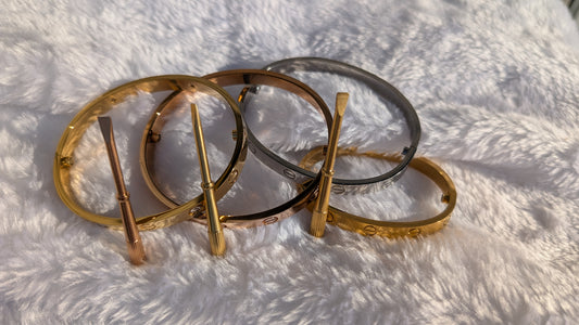 Bracelet Jonc en Acier Inoxydable avec Fermoir à Vis - Options Argent et Plaqué Or